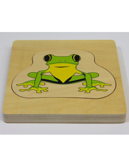 Puzzle en bois : cycle de la vie de la grenouille