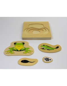 Puzzle en bois : cycle de la vie de la grenouille