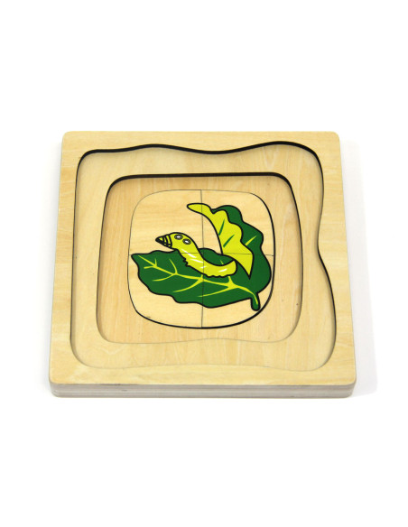 Puzzle en bois : cycle de la vie du papillon