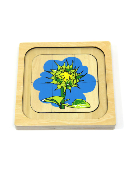 Puzzle en bois : cycle de la vie du tournesol Puzzle en bois : cycle de la vie du tournesol
