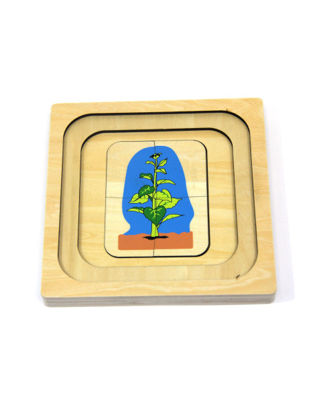 Puzzle en bois : cycle de la vie du tournesol Puzzle en bois : cycle de la vie du tournesol