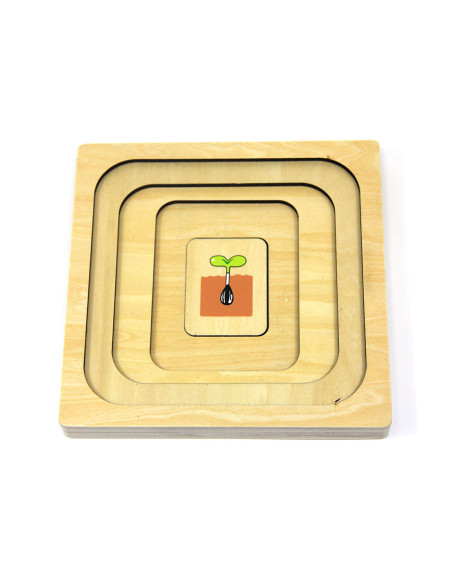 Puzzle en bois : cycle de la vie du tournesol Puzzle en bois : cycle de la vie du tournesol