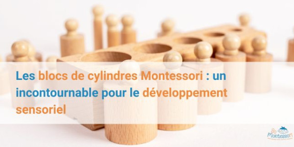 Les blocs de cylindres Montessori : un incontournable pour le développement sensoriel